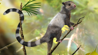 8 Scientific Discoveries That Prove Evolution is Real